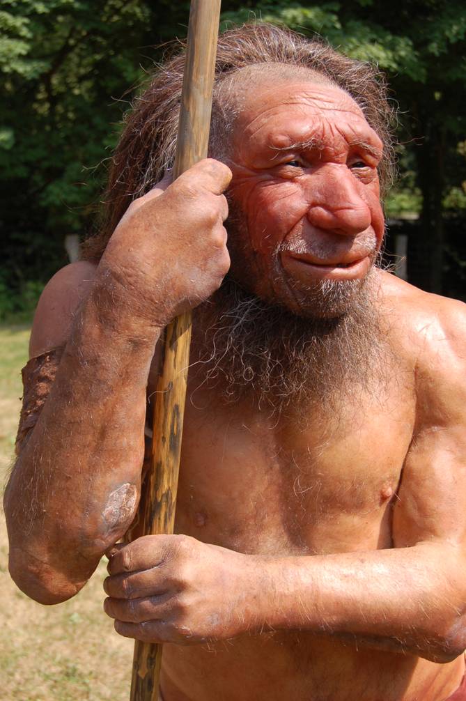 Artist's rendering of Neandertal